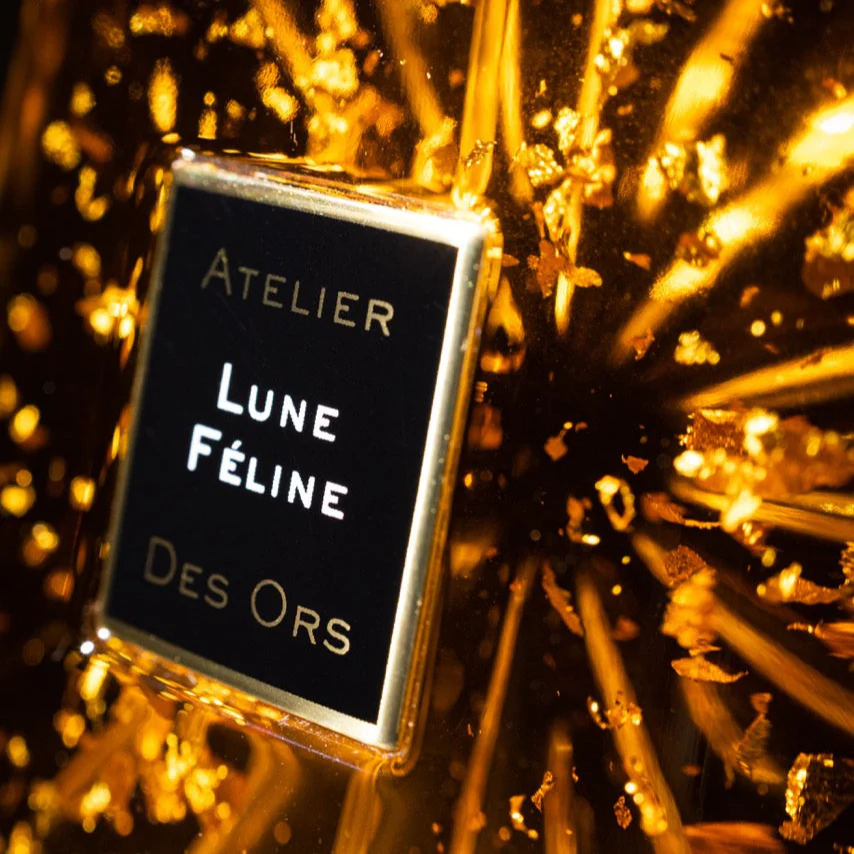 Lune Féline - Image 3